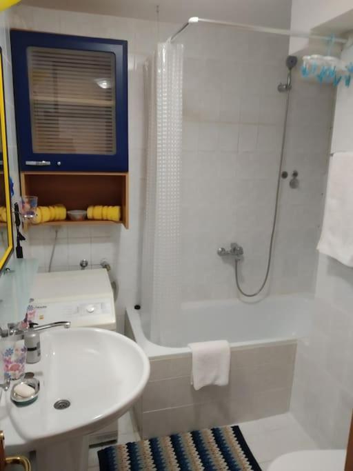 Alex Apartment Zemun Zewnętrze zdjęcie