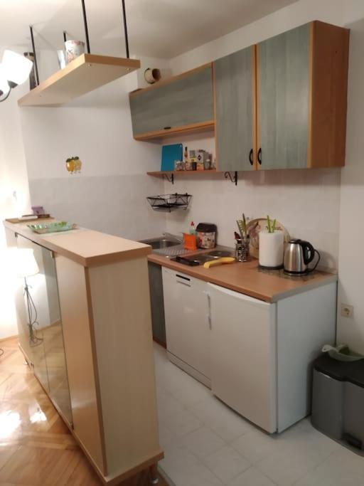 Alex Apartment Zemun Zewnętrze zdjęcie