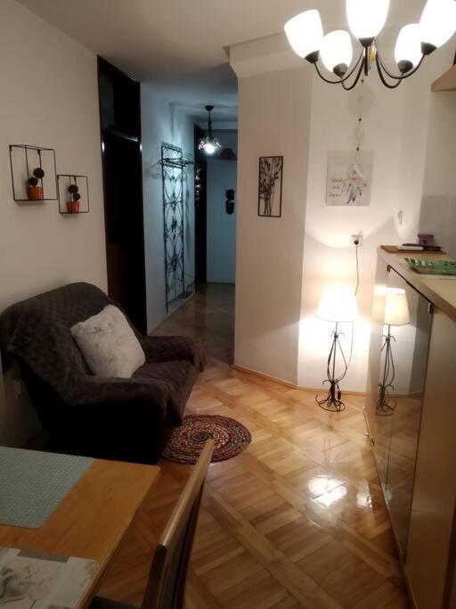 Alex Apartment Zemun Zewnętrze zdjęcie